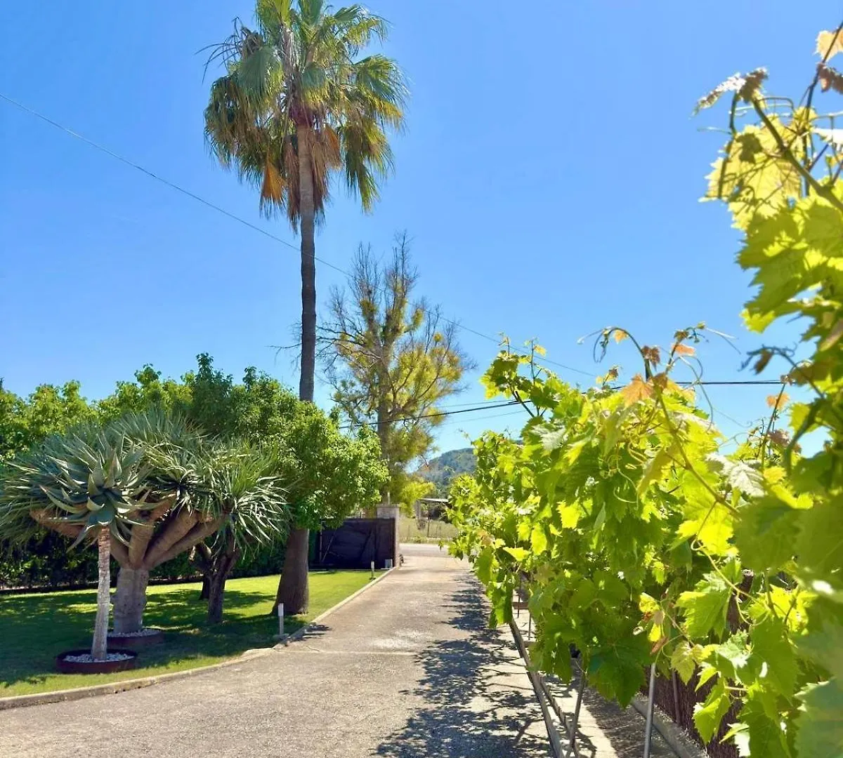 Willa Sa Figuera Roja Alcudia  Hiszpania